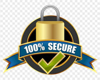 100% Secure Payment